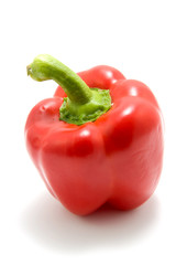 One red paprika isolated on white background