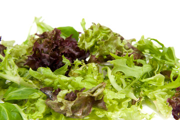 Fresh lettuce isolated on white background