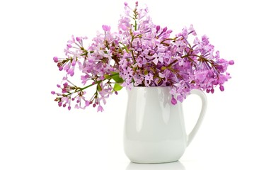 Purple Flowers in vase,isolated on White