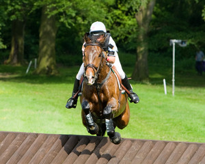 Horse Trial Mid Air