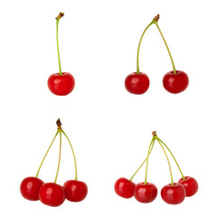 Sour cherries - one, two, three, four