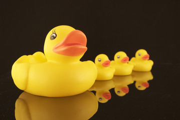 Rubber Ducks With Reflection