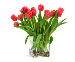 Rote Tulpen