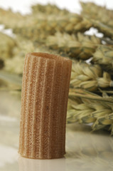 Pasta integrale