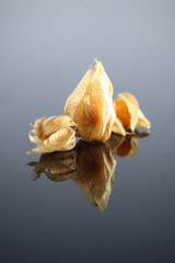 Physalis, Kapstachelbeere