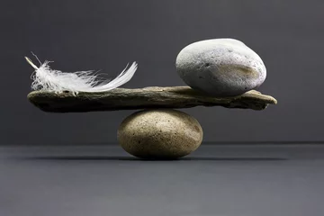 Foto auf Leinwand feather and stone balance © barneyboogles