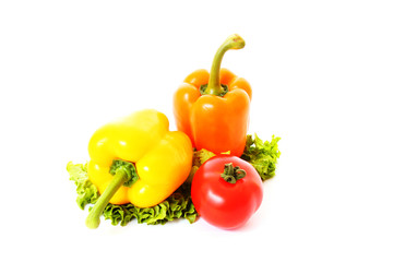 Fresh vegetables on white background