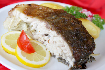 Fisch,Karpfen