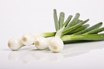 spring onion