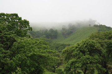 Fototapeta premium Hills in a fog