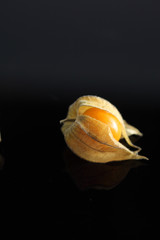 Physalis, Kapstachelbeere