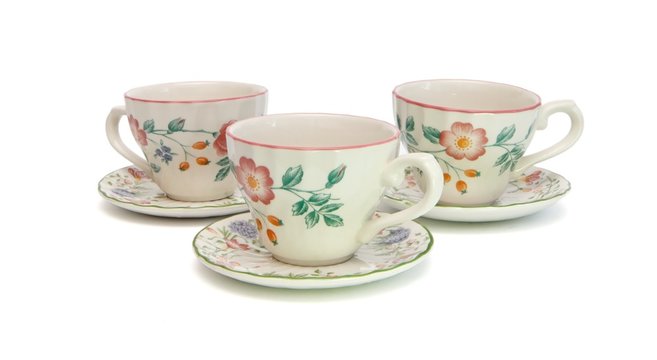 White tea service painted with dogroses isolated