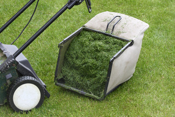 Lawn mower