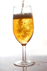 glass of fresh beer