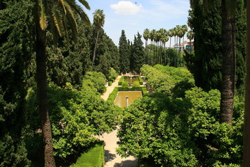 Siviglia giardini