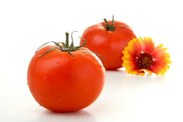 tomates sur fond blanc