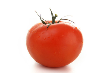 tomate sur fond blanc