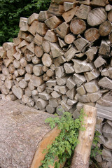 Holzstapel