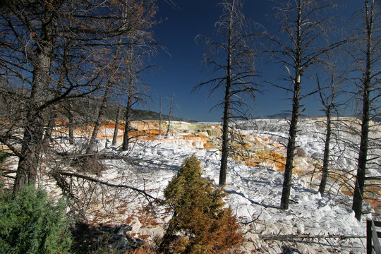 YELLOWSTONE PARK,WYOMING_USA