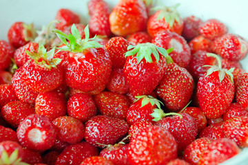 Freshly picked up strawberries with selective focus
