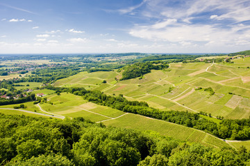 vineyards, Département Jura, Franche-Comté, France