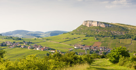 Fototapeta na wymiar La Roche de Solutré z winnic, Burgundii, Francja