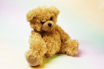 Teddy