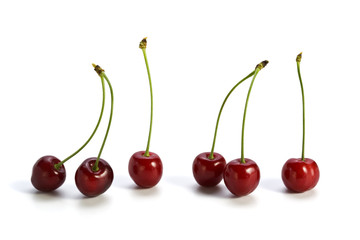 wildkirschen isoliert auf weiß