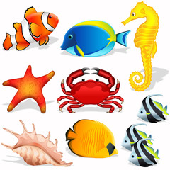 Sea animals