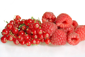 Raspberries and red currants