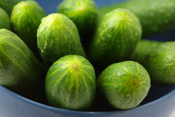 Raw cucumbers
