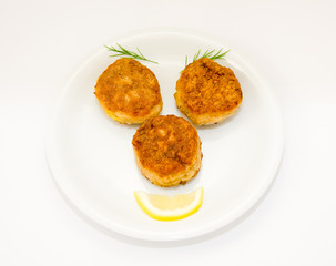 Fried cutlet on a plate