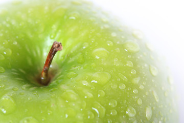close-up green