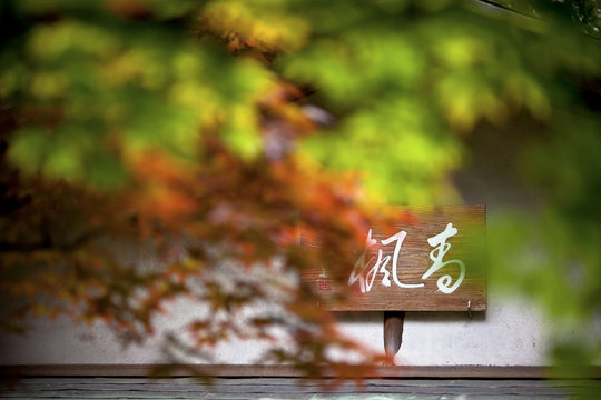 Calligraphie japonaise et feuillage d&rsquo;automne
