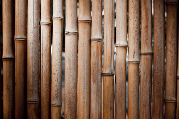Texture de bambou