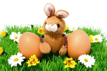 Easter bunny with two chicken eggs on grass and flowers
