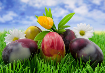 Fototapeta premium Easter eggs