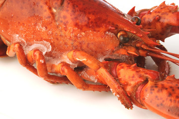 Astice precotto surgelato