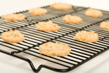 Coconut cookies cooling