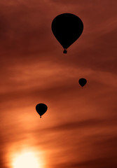 Naklejka premium heißluftballons im sonnenuntergang