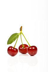 cherry