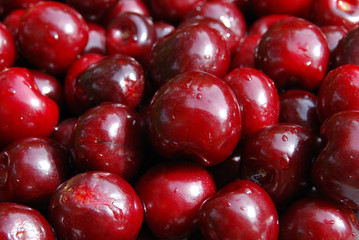 Kirschen