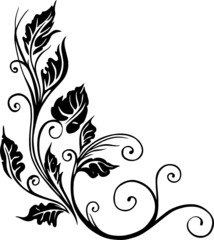 Laub, Blätter, Herbst, Ranke