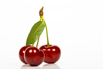 cherry