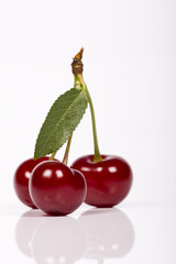 cherry