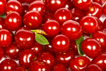 cherry