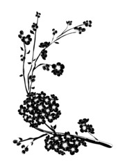 Dekoratives Kirschblüten Ornament schwarz weiss