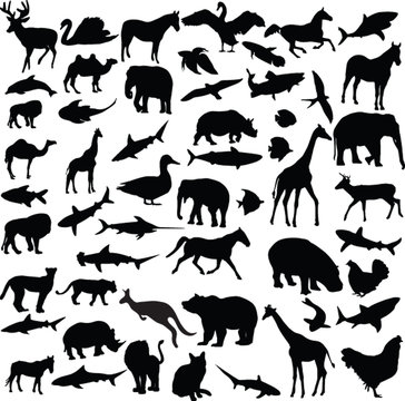 big collection of different animals - vector