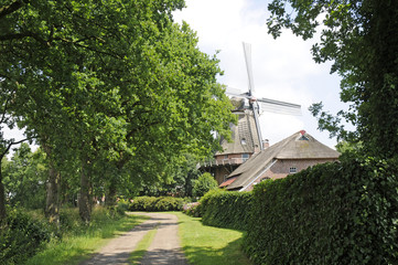 Windmühle bei Großefehn
