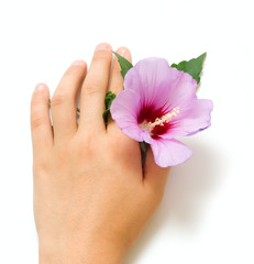 Flower in human hand